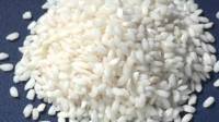 Виды и сорта риса