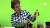 Агрикола — удобрение для комнатных растений