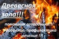 Древесная зола как