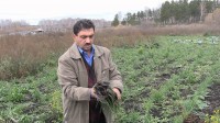 Фермерское хозяйство в Челябинской области