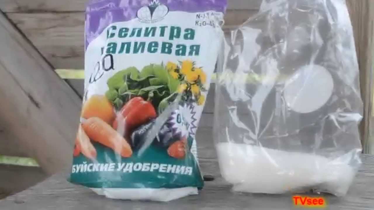 Как из калиевой селитры сделать калиевую Как из калиевой селитры сделать калиевую