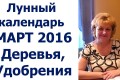 Календарь обработок плодовых деревьев в саду