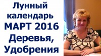 Календарь обработок плодовых деревьев в саду