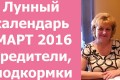 Календарь посадок плодовых деревьев