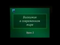 Микробиологические процессы в пищевой