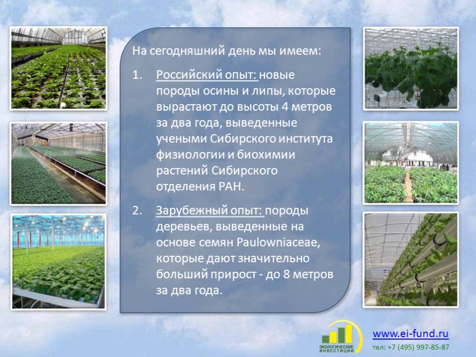 Посадка интенсивного сада Посадка интенсивного сада