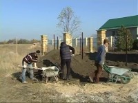 Посадка саженцев плодовых деревьев весной