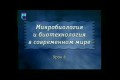 Роль и значение пищевой промышленности