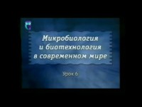 Роль и значение пищевой промышленности