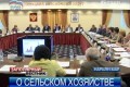 Современное состояние сельского хозяйства