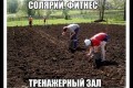 Удобрение для клубники весной