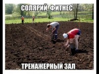 Удобрение для клубники весной