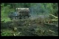 Уничтожение лесов и химизация