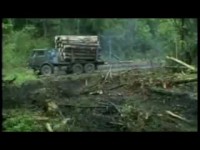 Уничтожение лесов и химизация