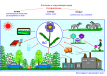 Способы,  защищающие растения от вредоносной окружающей среды