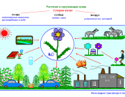 Способы,  защищающие растения от вредоносной окружающей среды