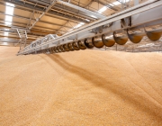 Как хранить зерно?