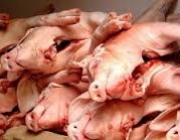 Российская компания будет производить в Эстонии дешевую свинину класса «Люкс»