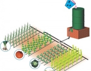 Преимущества технологии капельного орошения