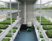 Исследования с камерами роста растений