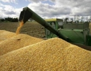 Проблему низкой урожайности на территории РФ решат специалисты «Национального движения сберегающего земледелия»