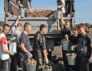 Медведев против того, чтобы студенты убирали картошку